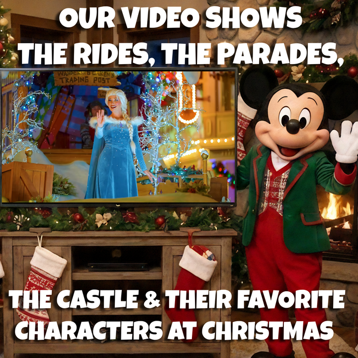 Mickey's Magic - Christmas Edition - Disney World