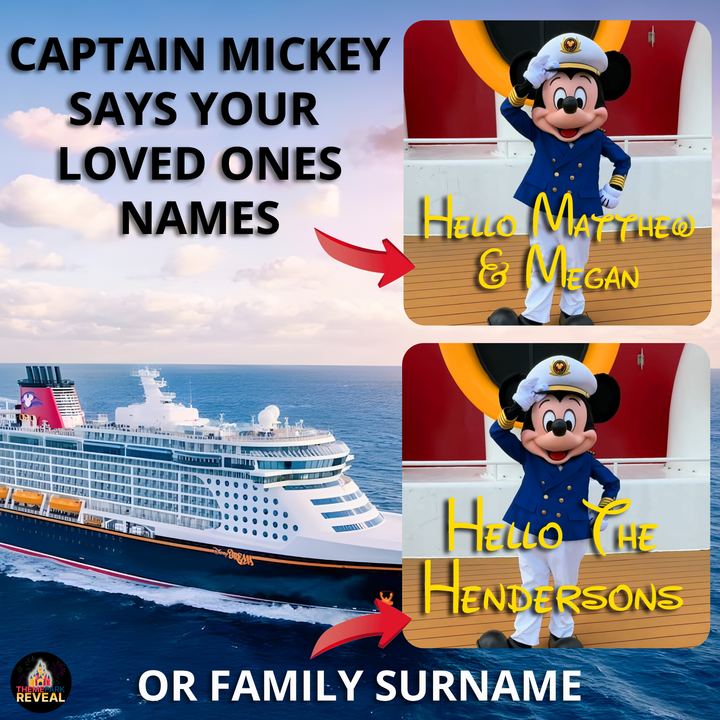 Disney World & Disney Cruise Line Combination Video