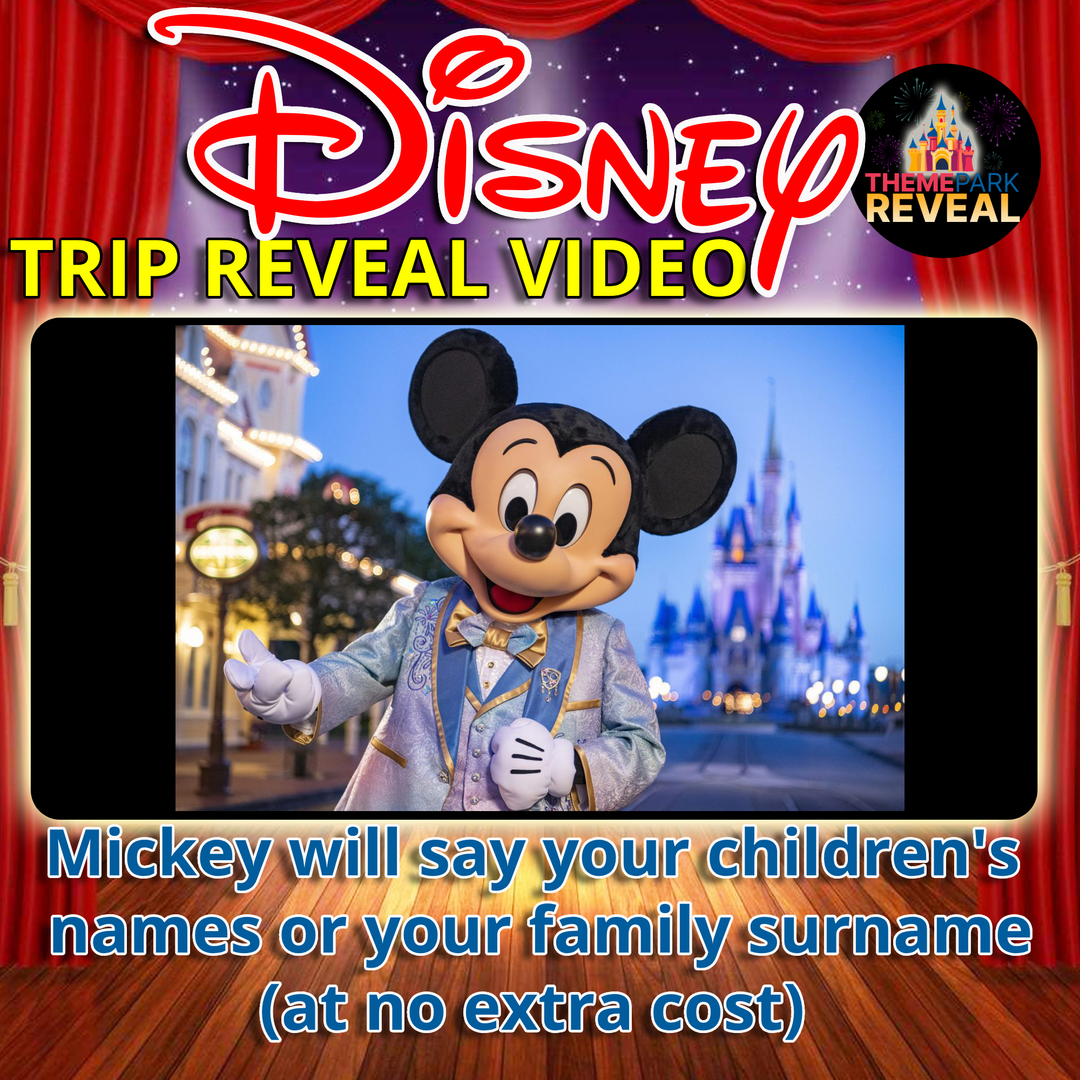 Disney World Florida  - Birthday Edition